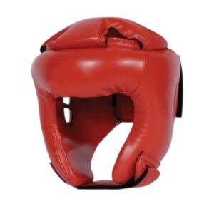 Head Guards